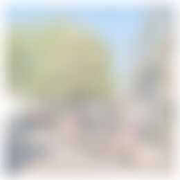 Foto #39 Huurwoning Drapenierstraat Haarlem