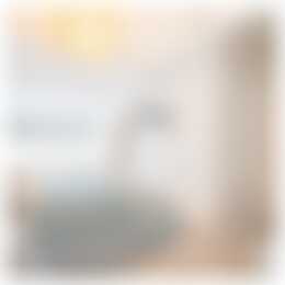 Foto #21 Huurwoning Drapenierstraat Haarlem