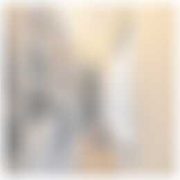 Foto #23 Huurwoning Drapenierstraat Haarlem