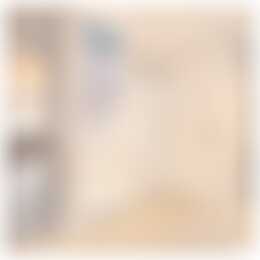 Foto #15 Huurwoning Drapenierstraat Haarlem