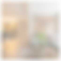 Foto #5 Huurwoning Drapenierstraat Haarlem