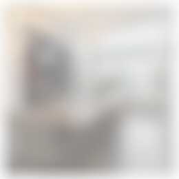 Foto #5 Huurwoning Duvenvoordestraat Haarlem