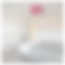 Foto #35 Huurwoning Duvenvoordestraat Haarlem