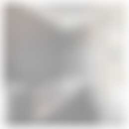 Foto #37 Huurwoning Duvenvoordestraat Haarlem