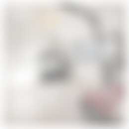 Foto #31 Huurwoning Duvenvoordestraat Haarlem