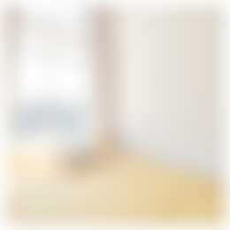 Foto #23 Appartement Jansstraat Haarlem