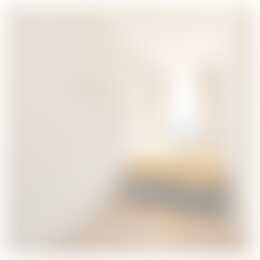 Foto #22 Appartement Jansstraat Haarlem