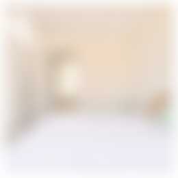 Foto #7 Appartement Jansstraat Haarlem