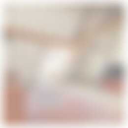 Foto #3 Appartement Jansstraat Haarlem