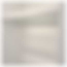 Foto #8 Appartement Ruychaverstraat Haarlem