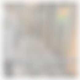 Foto #18 Appartement Ruychaverstraat Haarlem