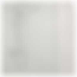 Foto #11 Appartement Ruychaverstraat Haarlem