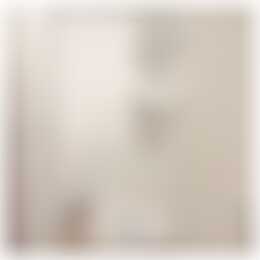 Foto #13 Appartement Ruychaverstraat Haarlem