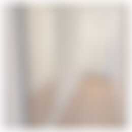 Foto #6 Appartement Ruychaverstraat Haarlem