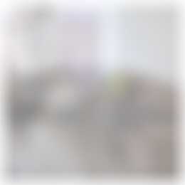 Foto #7 Kamer Hogenbanweg Rotterdam