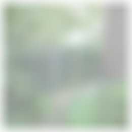 Foto #26 Appartement Sportlaan Oudesluis