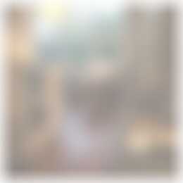 Foto #17 Appartement Sportlaan Oudesluis