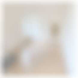 Foto #2 Kamer Schielaan Rotterdam