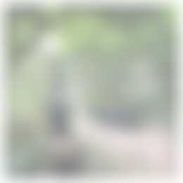 Foto #2 Huurwoning Sportlaan Oudesluis