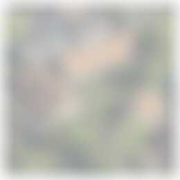 Foto #0 Huurwoning Sportlaan Oudesluis