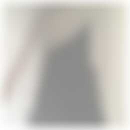 Foto #9 Appartement Rooseveltlaan Amsterdam