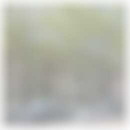 Foto #0 Appartement Rooseveltlaan Amsterdam