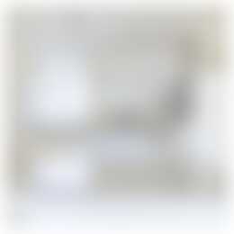 Foto #6 Appartement Bisschopsmolengang Maastricht