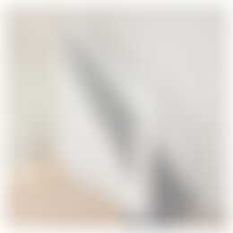 Foto #15 Huurwoning Moreelsestraat Amsterdam