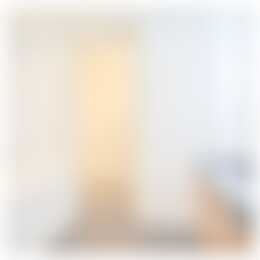 Foto #29 Huurwoning Moreelsestraat Amsterdam