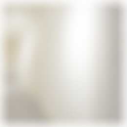 Foto #26 Huurwoning Moreelsestraat Amsterdam