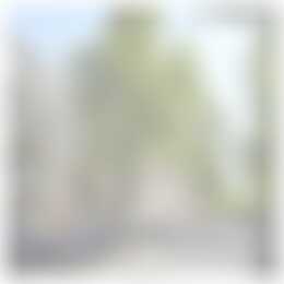 Foto #0 Huurwoning Moreelsestraat Amsterdam