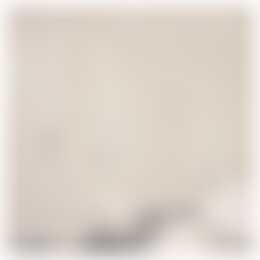 Foto #8 Appartement Stadhouderslaan Den Haag