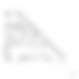 Foto #11 Appartement Stadhouderslaan Den Haag