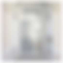 Foto #3 Appartement Stadhouderslaan Den Haag