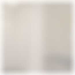 Foto #10 Appartement Stadhouderslaan Den Haag