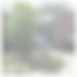 Foto #22 Huurwoning Mergelsweg Heerlen