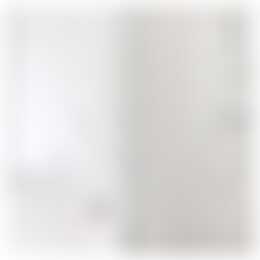 Foto #10 Appartement Bellevuelaan Haarlem