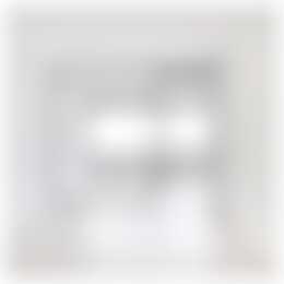 Foto #5 Appartement Bellevuelaan Haarlem