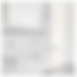 Foto #9 Appartement Bellevuelaan Haarlem