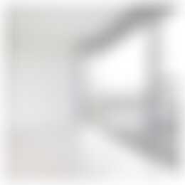 Foto #8 Appartement Bellevuelaan Haarlem