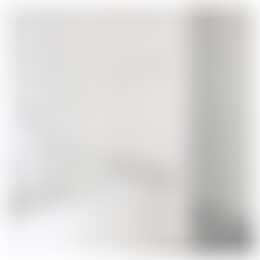 Foto #11 Appartement Bellevuelaan Haarlem