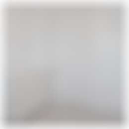 Foto #15 Huurwoning Maasboulevard Spijkenisse