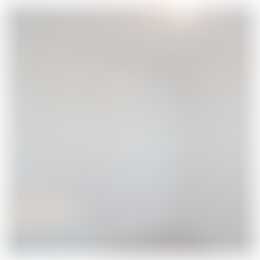 Foto #14 Huurwoning Maasboulevard Spijkenisse