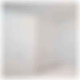 Foto #13 Huurwoning Maasboulevard Spijkenisse