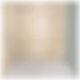 Foto #19 Appartement Rosmolenplein Tilburg