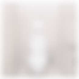 Foto #17 Appartement Rosmolenplein Tilburg