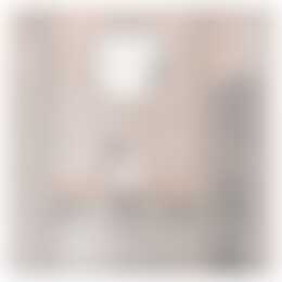 Foto #12 Appartement Rosmolenplein Tilburg