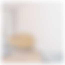 Foto #2 Appartement Rosmolenplein Tilburg