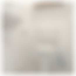 Foto #10 Huurwoning Hugo de Vries-serre Amersfoort