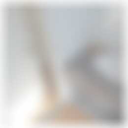 Foto #11 Appartement Prinsestraat Den Haag